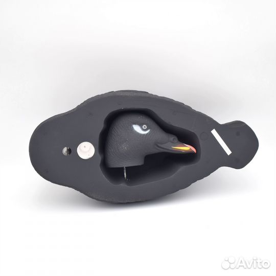 Чучела уток Турпан горбоносый (магнум) для охоты