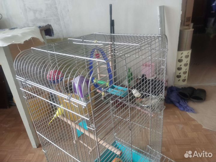 Большая клетка для птицКлетка для птиц, 41х30х76см