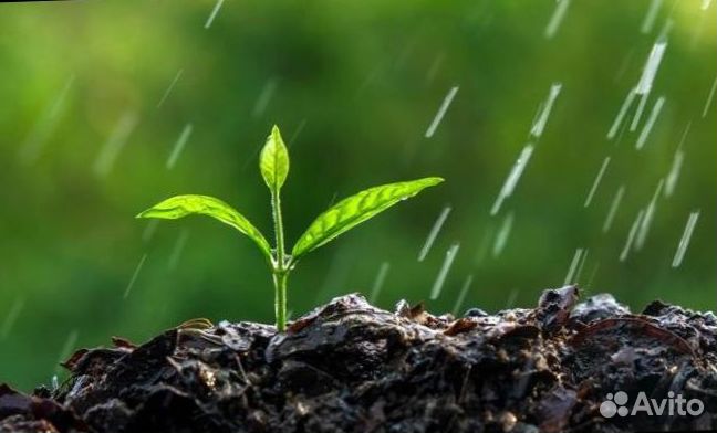 Чернозем с доставкой от 1 m3