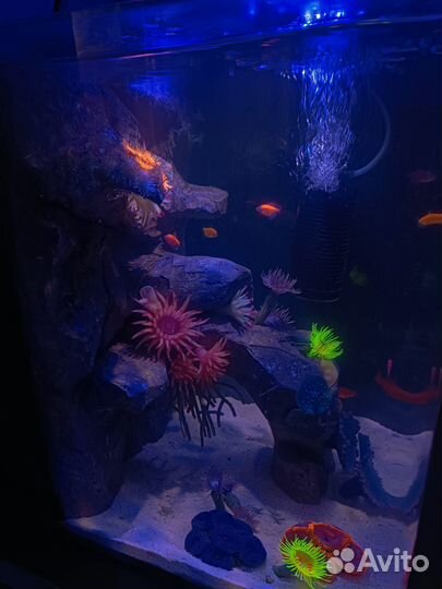 Маленький аквариум в кабинет