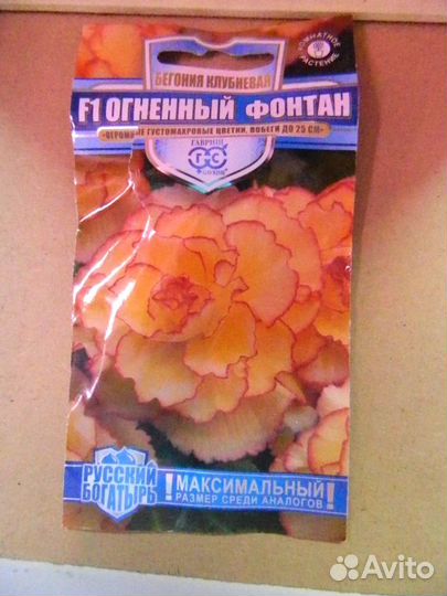 Семена глоксинии, колеусов