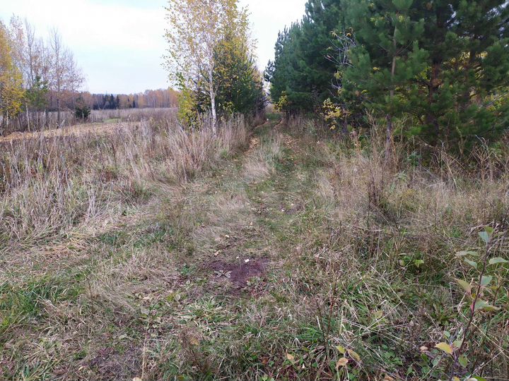 Участок 5 сот. (СНТ, ДНП)