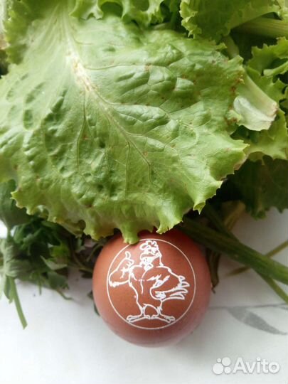 Домашние куриные яйца