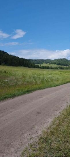 Участок 12 сот. (СНТ, ДНП)