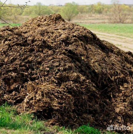 Навоз коровий