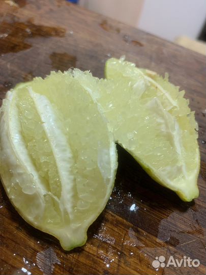 Пальчиковый лайм Faustrime