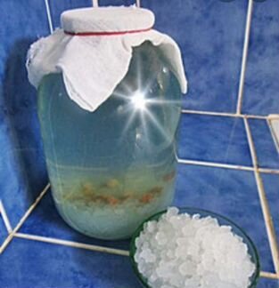 Индийский морской рис