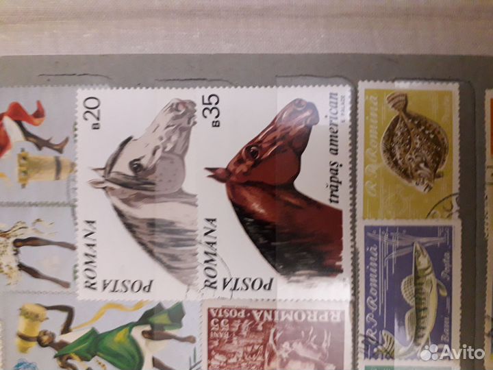 Марки цветы животные