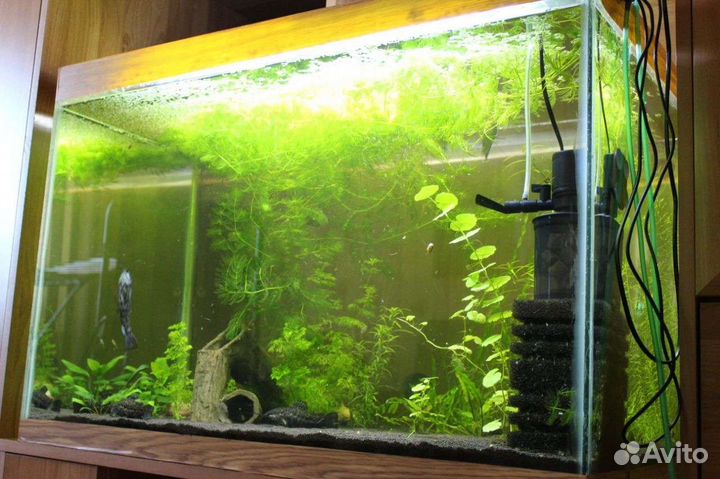 Аквариум