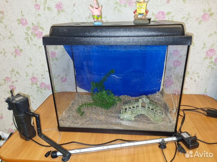 Аквариум