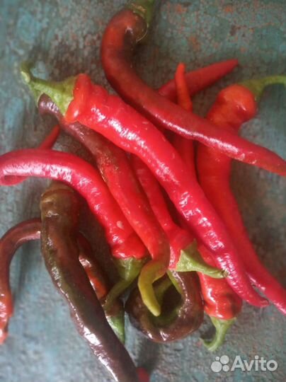 Острый перец. Кайенский перец. Семена