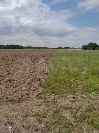 Участок 1,36 га (СНТ, ДНП)