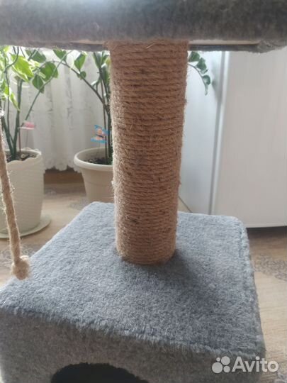 Когтеточка с домиком бу