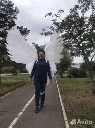 Крылья ангела