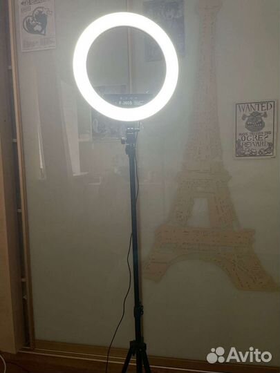 Кольцевая лампа