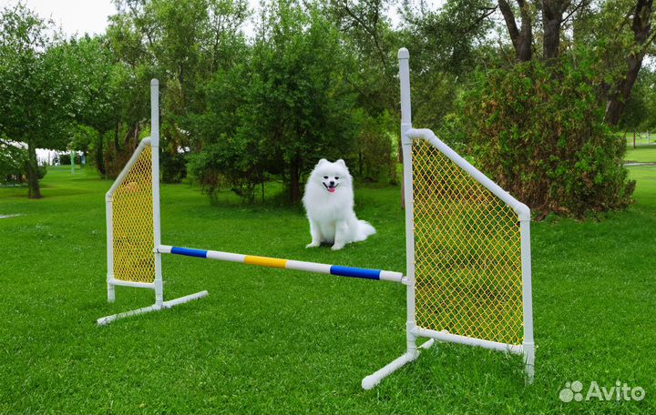 Барьер для аджилити, слалом для аджилити, тоннель