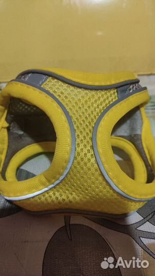 Шлейка для маленькой собаки или кота