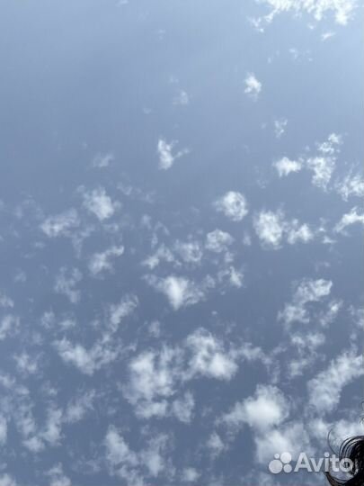 Продам готовую фирму ООО