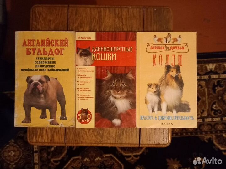 Кошечки и собачки