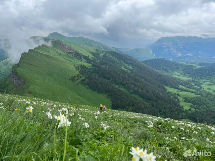 Экскурсии. Заброска в горы