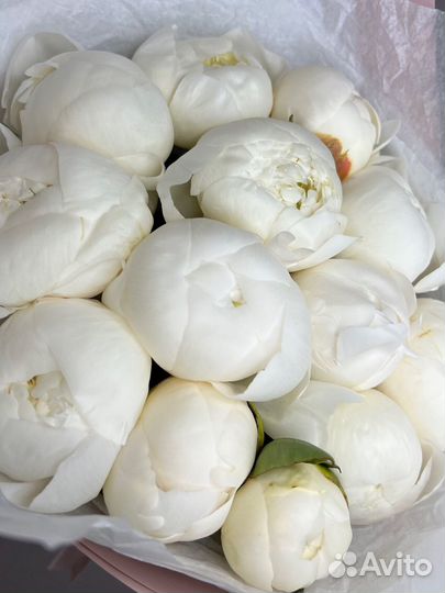 Букет из пионов