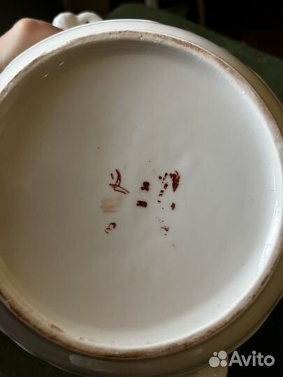 Супница чайка