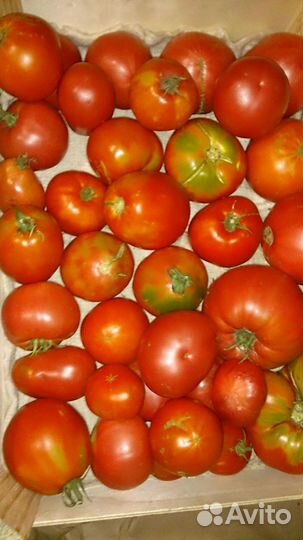 Помидоры домашние из огорода