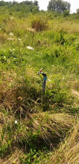 Участок 40 сот. (ИЖС)