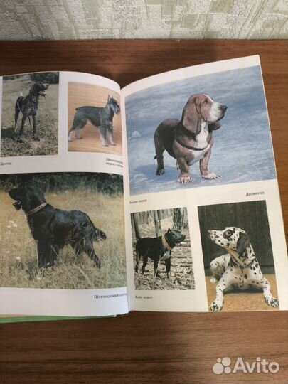 Книга про собак
