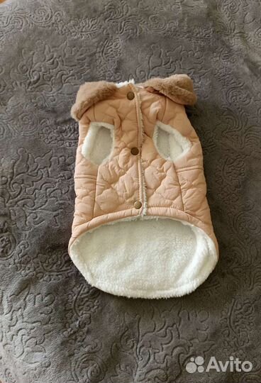 Одежда для собак мелких пород новая