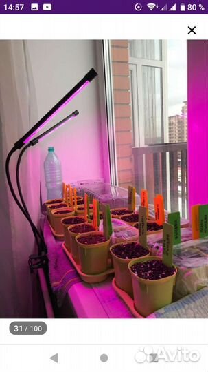Фитосветильник для растений