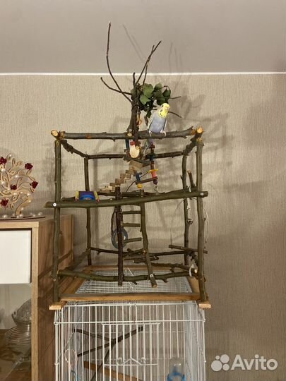 Игровой стенд для попугая