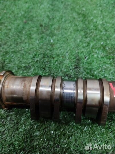 Распредвал впускной Subaru Tribeca WX 2006