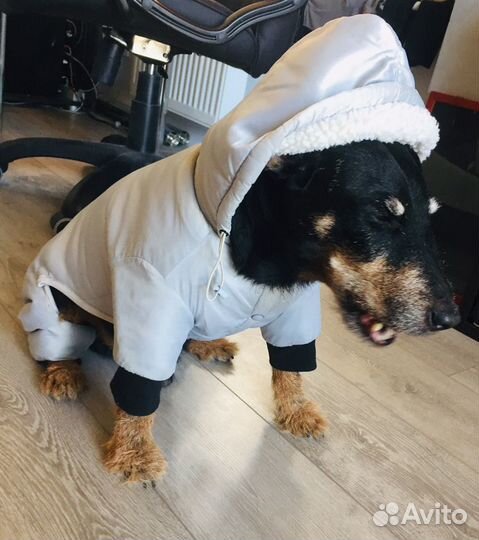Комбинезон зимний. Одежда для собак