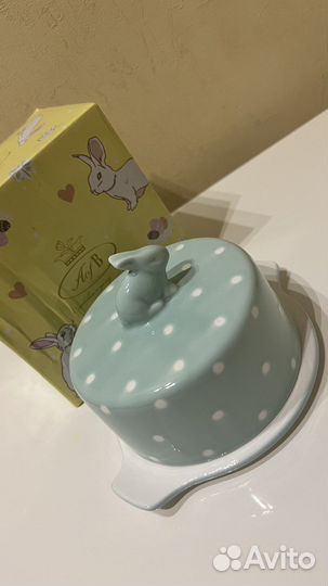 Масленка (кролик)