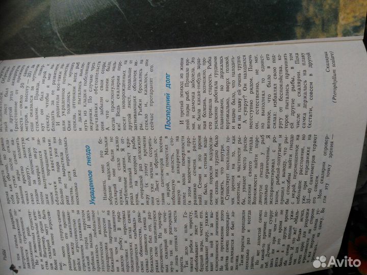 Журналы об аквариумных рыбках