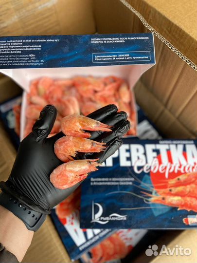 Северная Креветка 70/90 Заводская