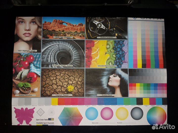 Принтер струйный цветной Epson TX400