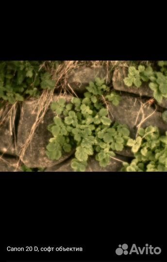 Объектив софт