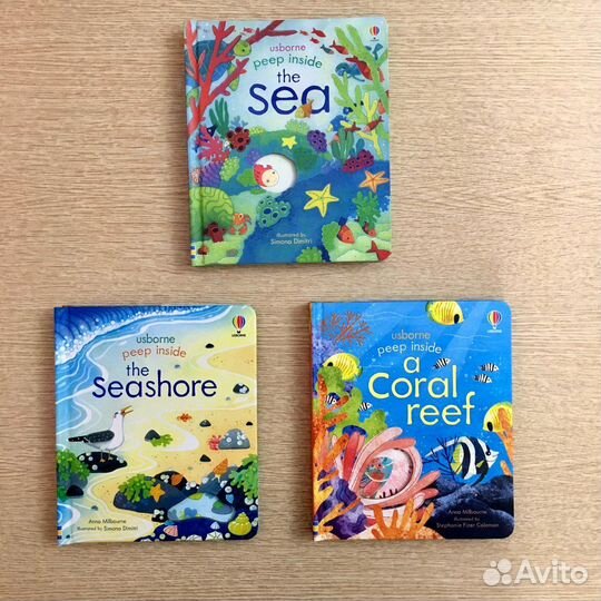 Морской берег Коралловые рифы Море