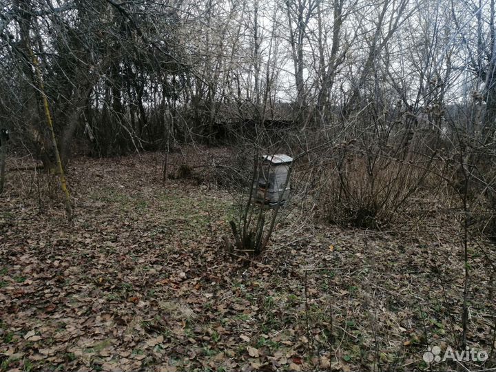 Пчелы и улья