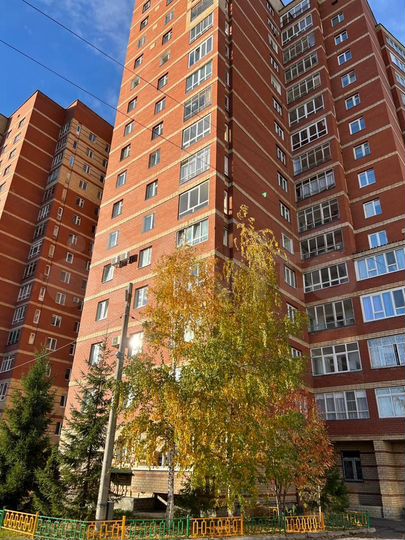 3-к. квартира, 81,5 м², 13/16 эт.