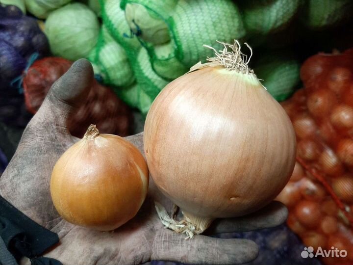 Доставка овощей