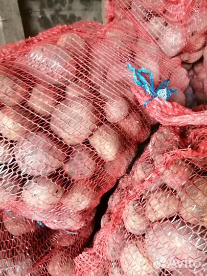 Продам картофель едовой