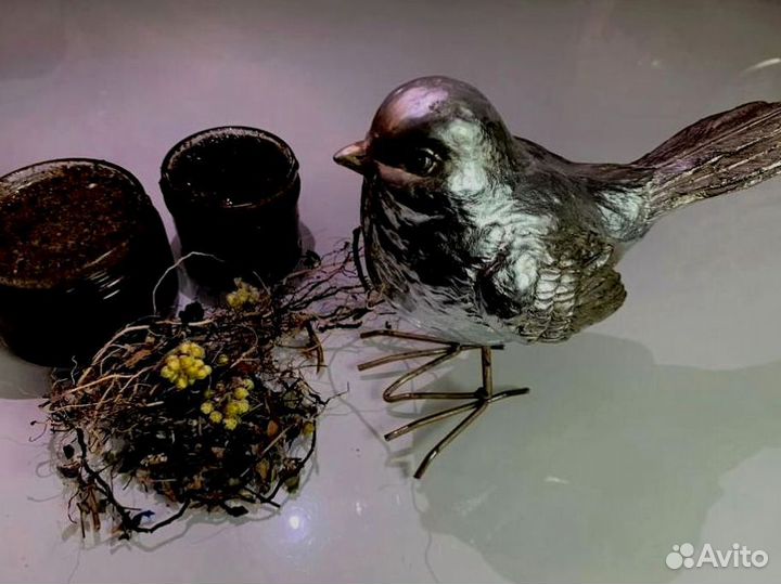 Натуральный усилитель влечения