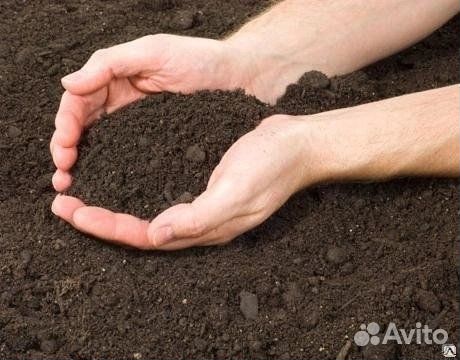 Земля сеянная