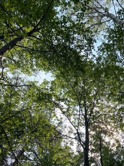 Участок 15 сот. (ИЖС)