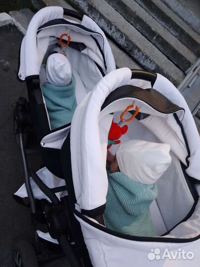 Коляска для двойни Легаси мира