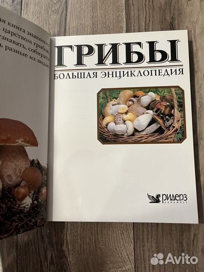 Грибы. Большая энциклопедия. Ридерз Дайджест