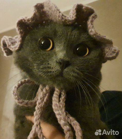 Шапка для животных